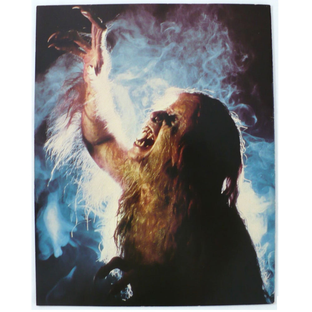 Ozzy Osbourne Bark at Moon Tour Program 1984.