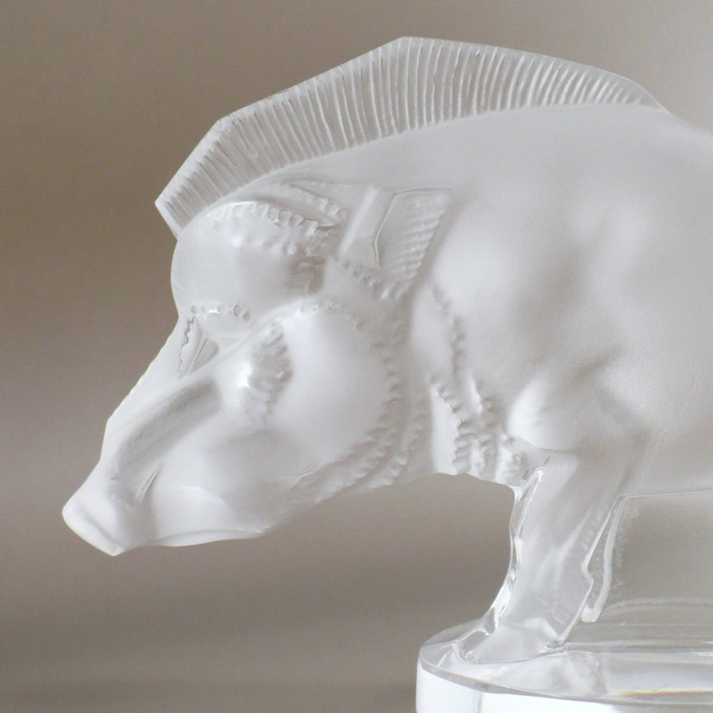 A frosted glass sculpture of Lalique Sanglier Bouchon de Radiateur: Wild Boar Car Mascot, close up left side of head.