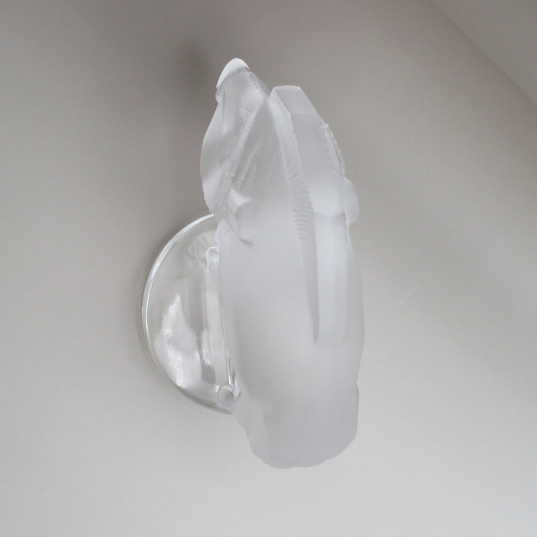 A frosted glass sculpture of Lalique Sanglier Bouchon de Radiateur: Wild Boar Car Mascot, view of top from above.