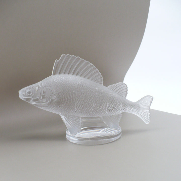 A frosted glass fish sculpture, Perche Bouchon de Radiateur: Perch Car Mascot, displayed on a clear glass stand against a neutral beige background, left side of fish.