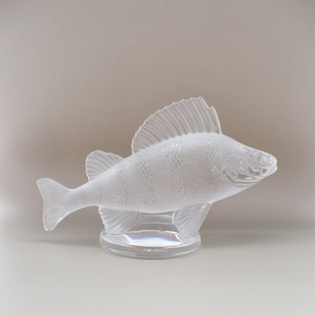 A frosted glass fish sculpture, Perche Bouchon de Radiateur: Perch Car Mascot, displayed on a clear glass stand against a neutral beige background.