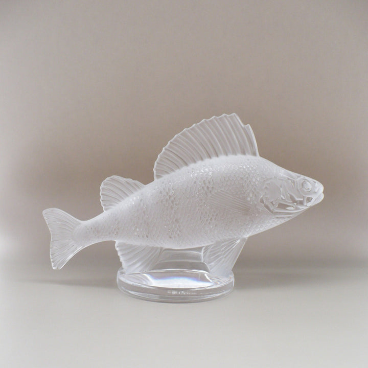 A frosted glass fish sculpture, Perche Bouchon de Radiateur: Perch Car Mascot, displayed on a clear glass stand against a neutral beige background.