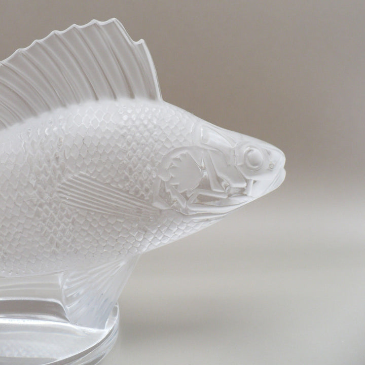 A close-up of a Perche Bouchon de Radiateur: Perch Car Mascot, right side of face.