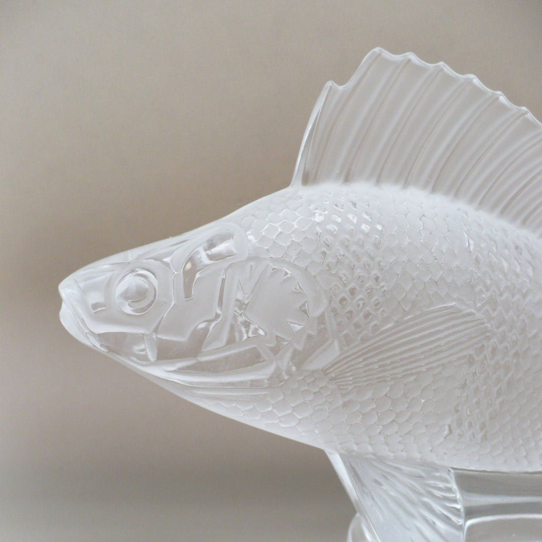 A close-up of A frosted glass fish sculpture, Perche Bouchon de Radiateur: Perch Car Mascot, displayed on a clear glass stand against a neutral beige background., left side of face.