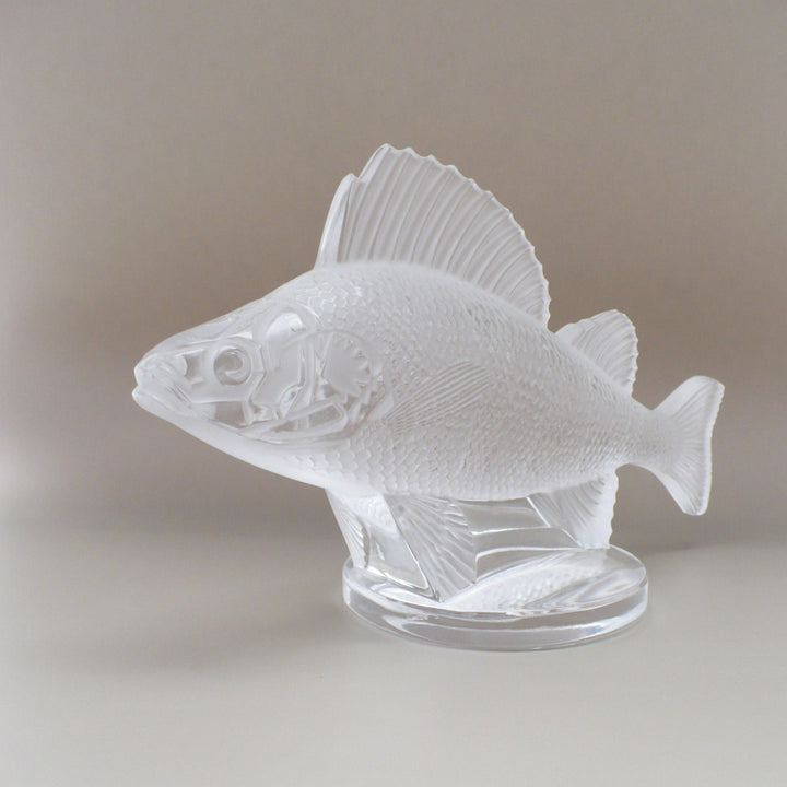 A frosted glass fish sculpture, Perche Bouchon de Radiateur: Perch Car Mascot, displayed on a clear glass stand against a neutral beige background, at an angle.