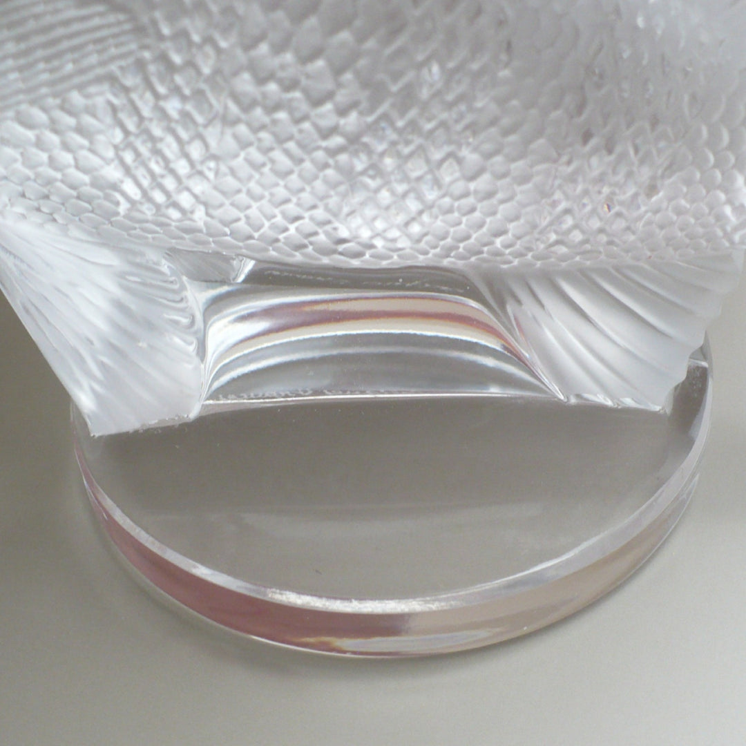 A close-up of a A frosted crystal fish sculpture, Perche Bouchon de Radiateur: Perch Car Mascot,  base from above.