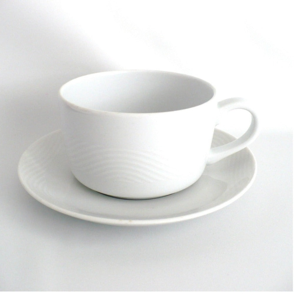 Pan Am Wave Flat Coffe Cup & Saucer Set Bauscher Weiden Airline China.