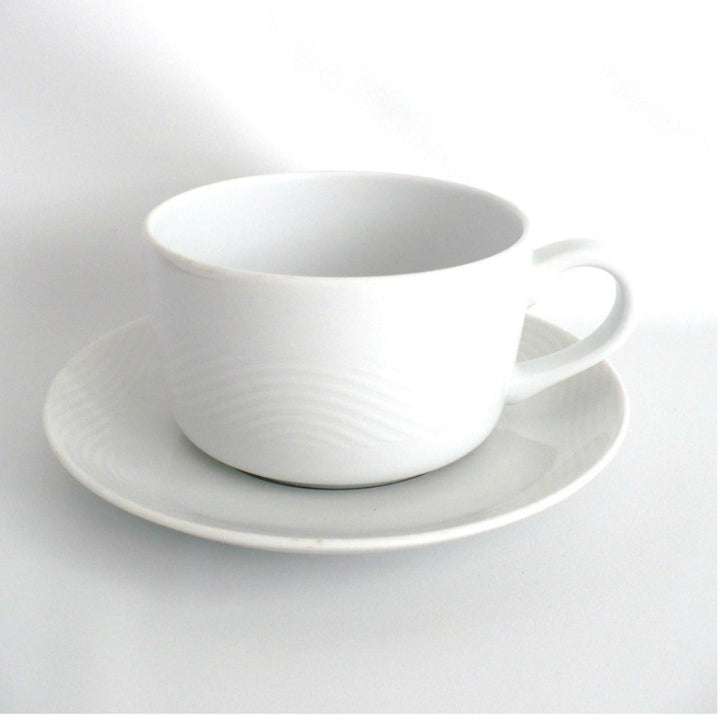 Pan Am Wave Flat Coffe Cup & Saucer Set Bauscher Weiden Airline China.