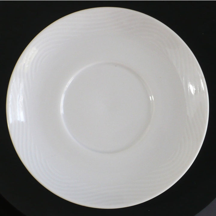 Pan Am Wave Flat Coffe Cup & Saucer Set Bauscher Weiden Airline China.