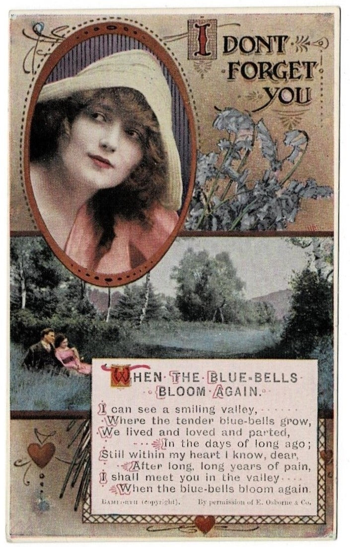1907 Netherlands Forlorn Love & Bluebells Dutch Vintage Postcard