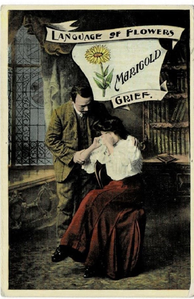 Postcard.