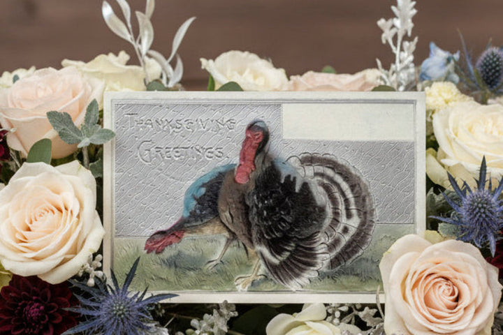 1916 Tom & Hen Turkeys