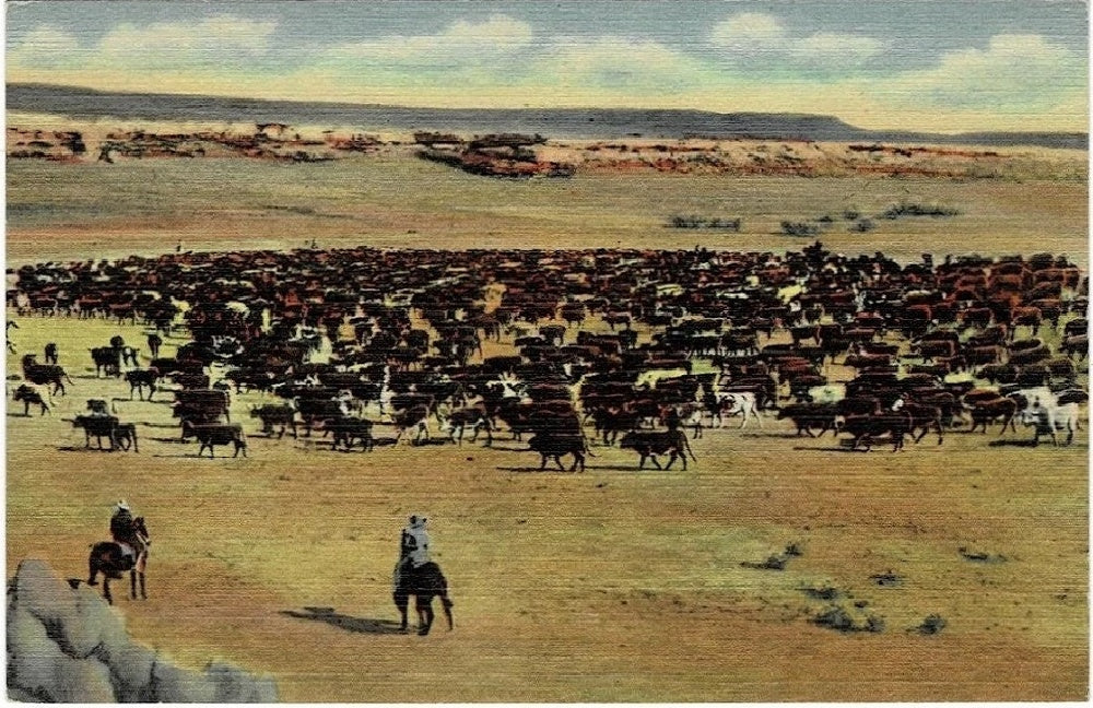 Postcard.