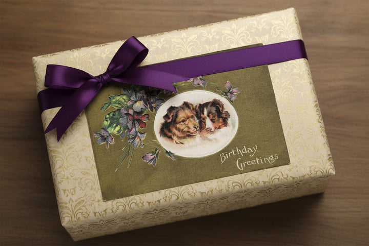 1909 Cute Collies Bring Birthday Greetings