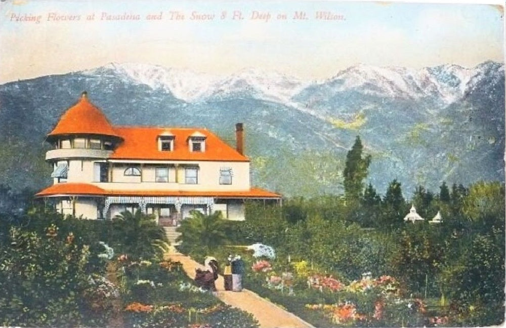 Postcard.