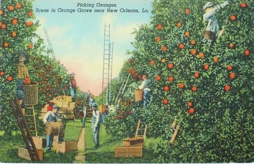 Postcard.