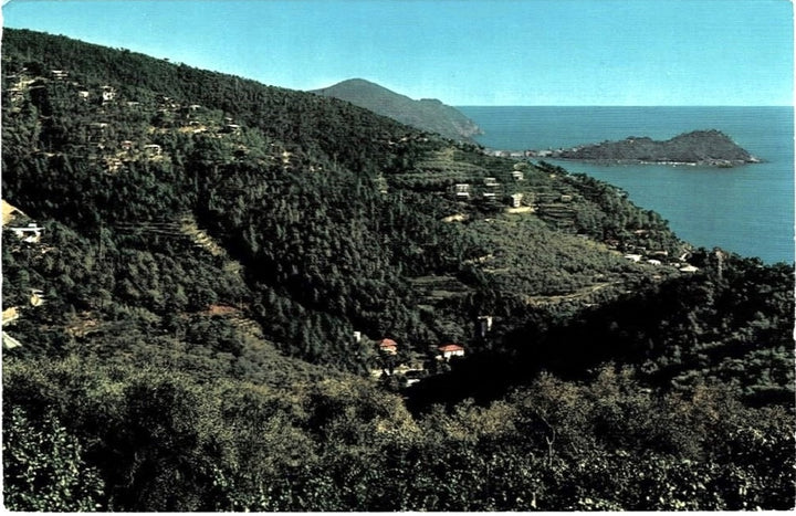 Postcard.