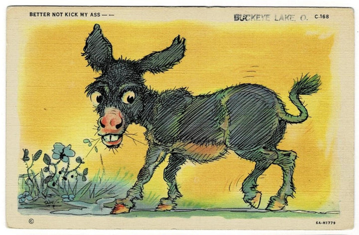 1936 Kick My Ass Goofy Donkey Buckeye Lake Ohio Vintage Comic Postcard