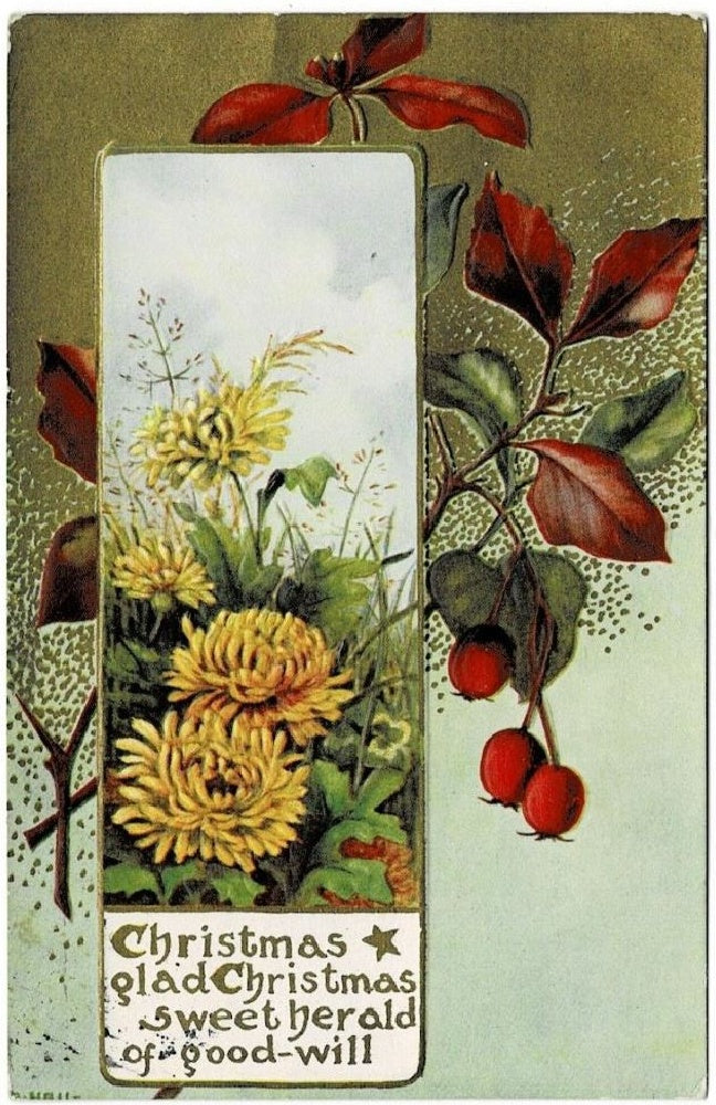 1909 Christmas Chrysanthemums, Language of Flowers, Vintage Postcard.