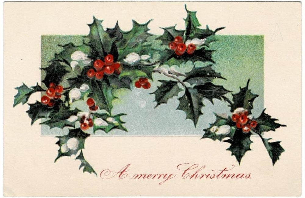 1908 Christmas Holly & Berries Vintage Christmas Postcard.