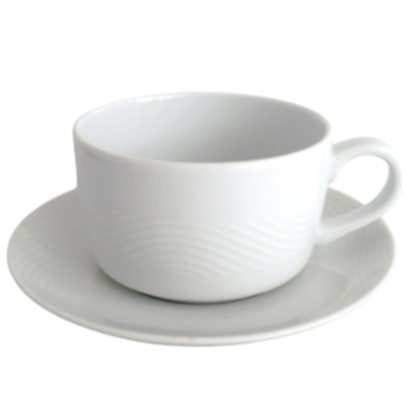 Pan Am Wave Flat Coffe Cup & Saucer Set Bauscher Weiden Airline China.