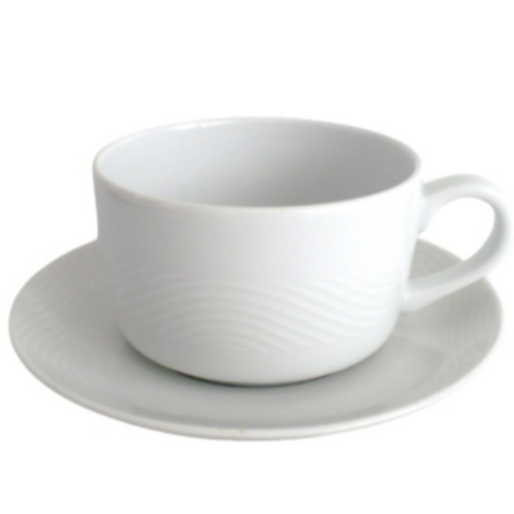 Pan Am Wave Flat Coffe Cup & Saucer Set Bauscher Weiden Airline China.