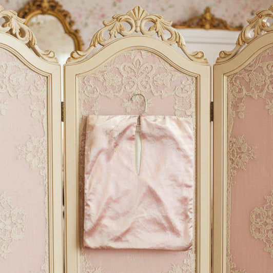 1950s-60s Dainty Laundry Lingerie & Hosiery Bag.