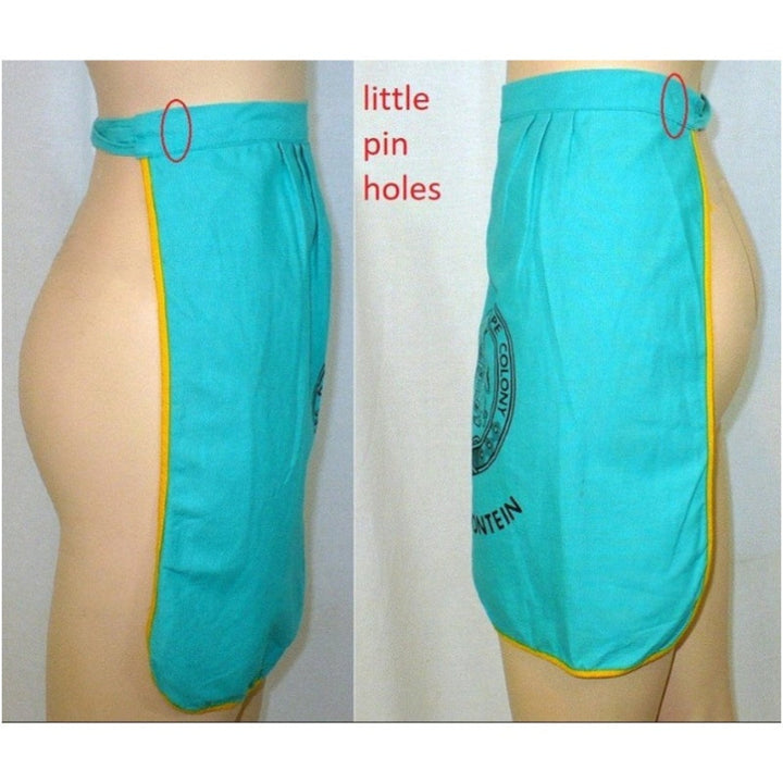 1950s Vintage Teal Matjiesfontein South Africa Souvenir Apron.