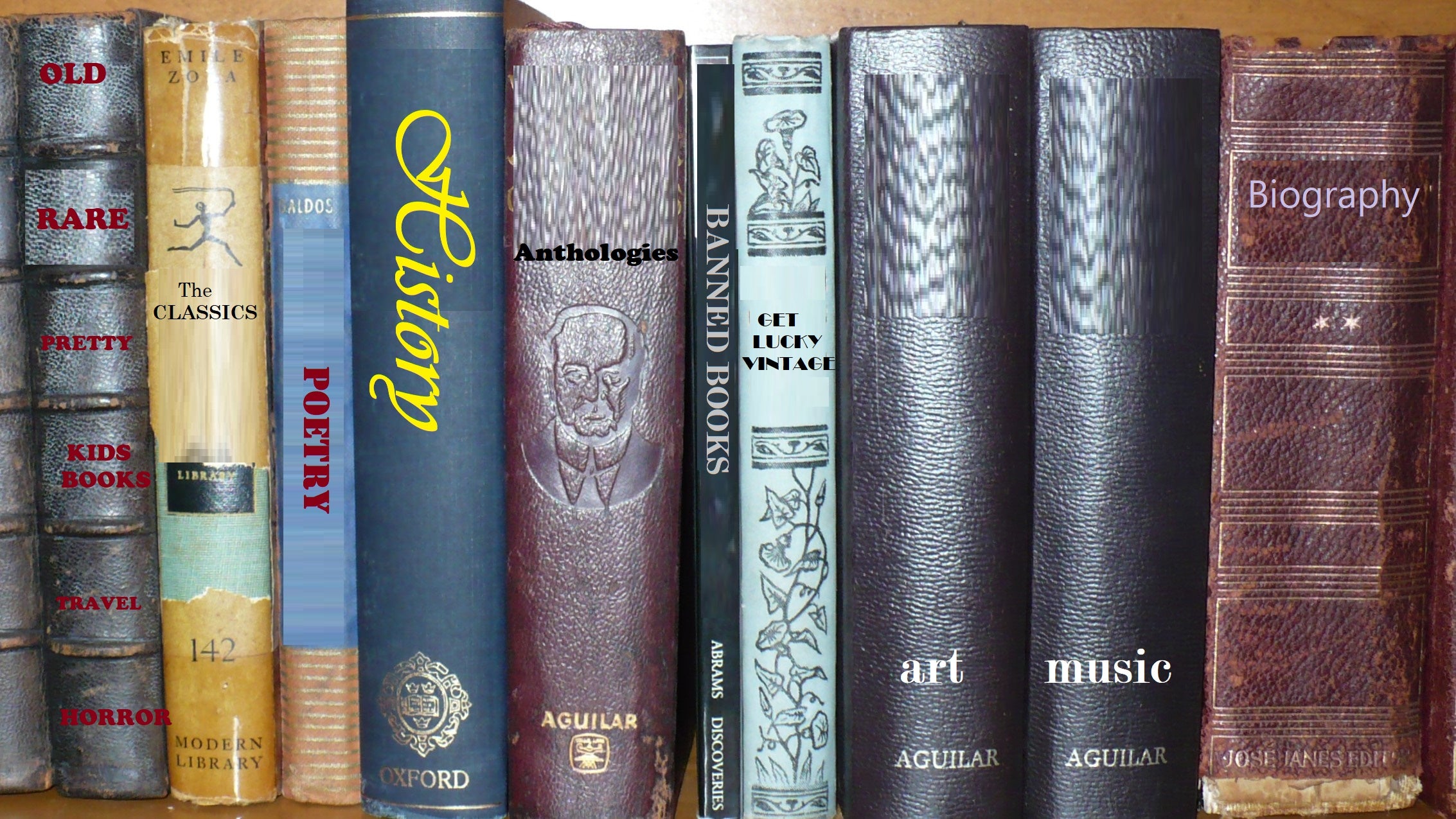 Row of books with various titles and designs on a shelf, home page carousel.