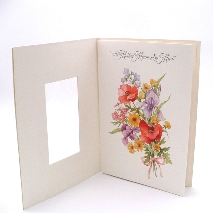 1970s Flocked Velvet Window Mother's Birthday Card by Hallmark