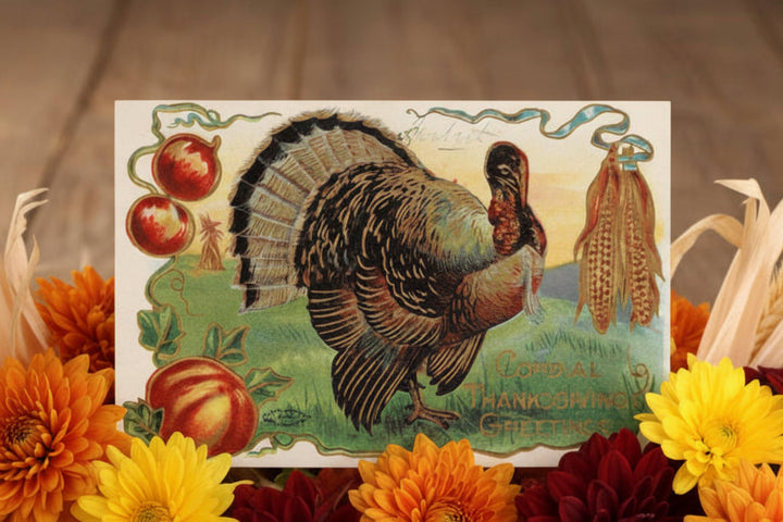 1908 Thanksgiving Turkey Harvest Scene Postcard