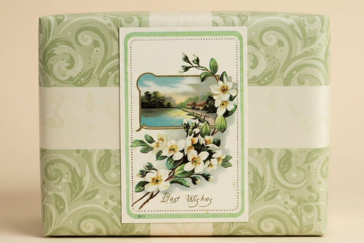 1910 Best Wishes Dogwood Nature Scene