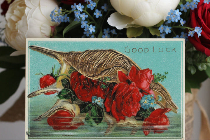 1913 Good Luck Conch Shell & Roses Postcard