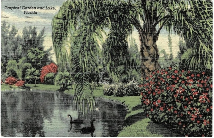 Postcard.