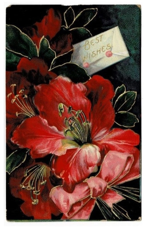 1909 Gilded Red Hibiscus Best Wishes Vintage Postcard