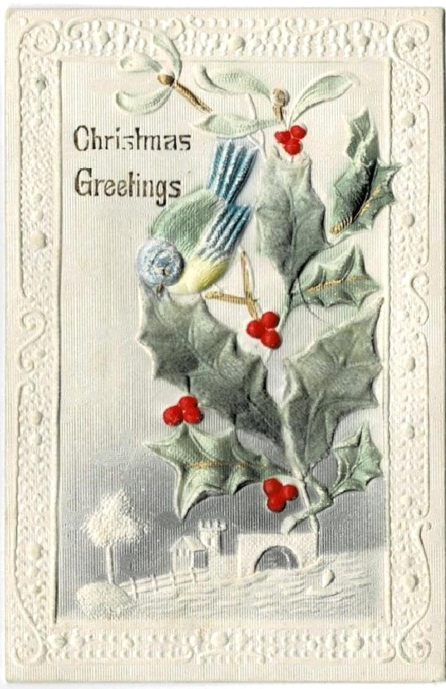 1913 Blue Warbler Songbird Vintage Flocked Novelty Christmas Postcard.