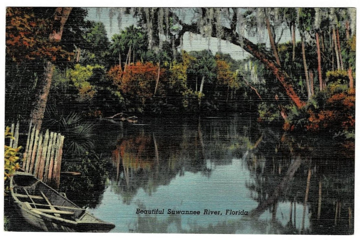 1950 Suwanee River Florida Vintage Postcard