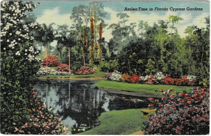 Postcard.