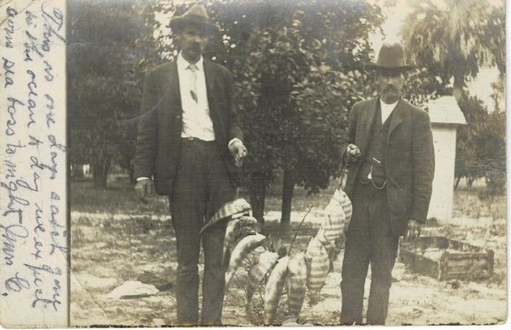 1907 Fisherman & Sea Bass New Smyrna FL Postcard RPPC.