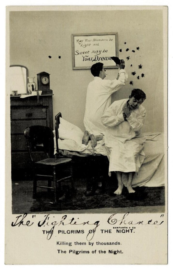 1907 Boarding House Bedbugs Vintage Postcard RPPC