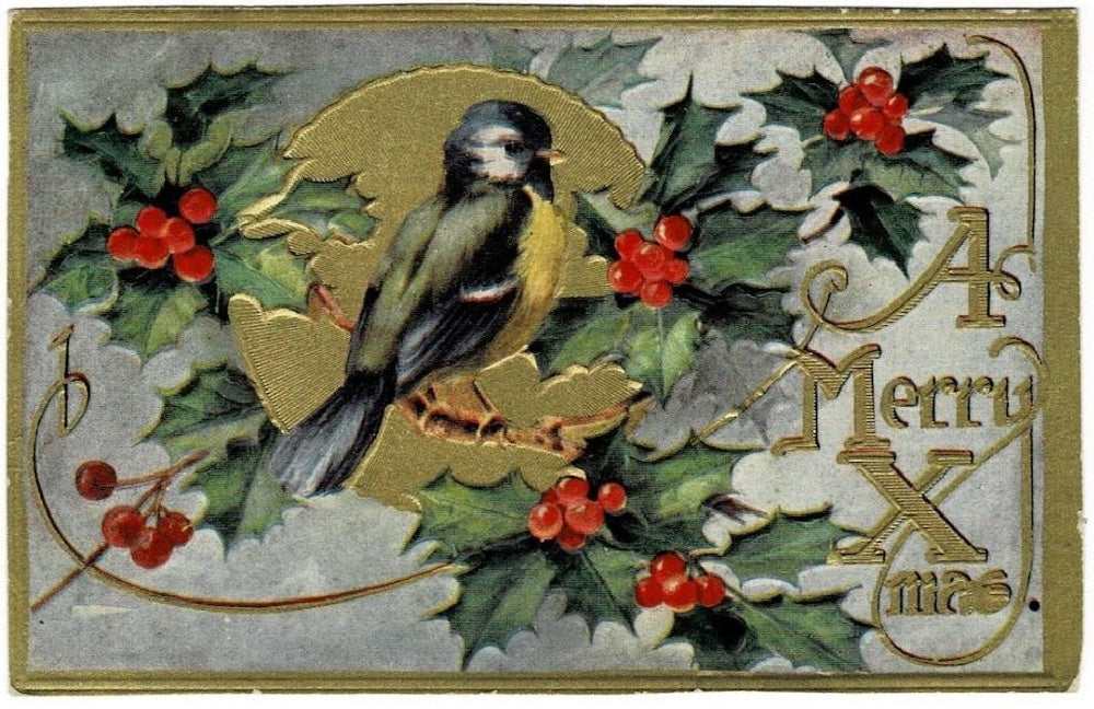 1912 Blue Tit Songbird Holly Christmas Postcard Card for Bird watcher.