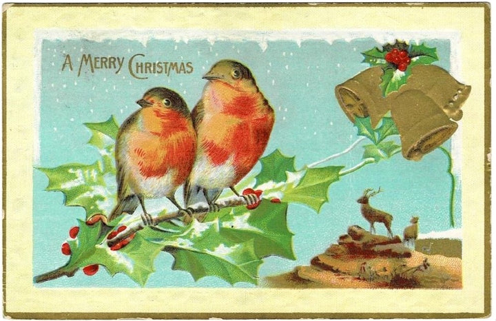 1907 European Robin - Christmas Songbirds Vintage Postcard.