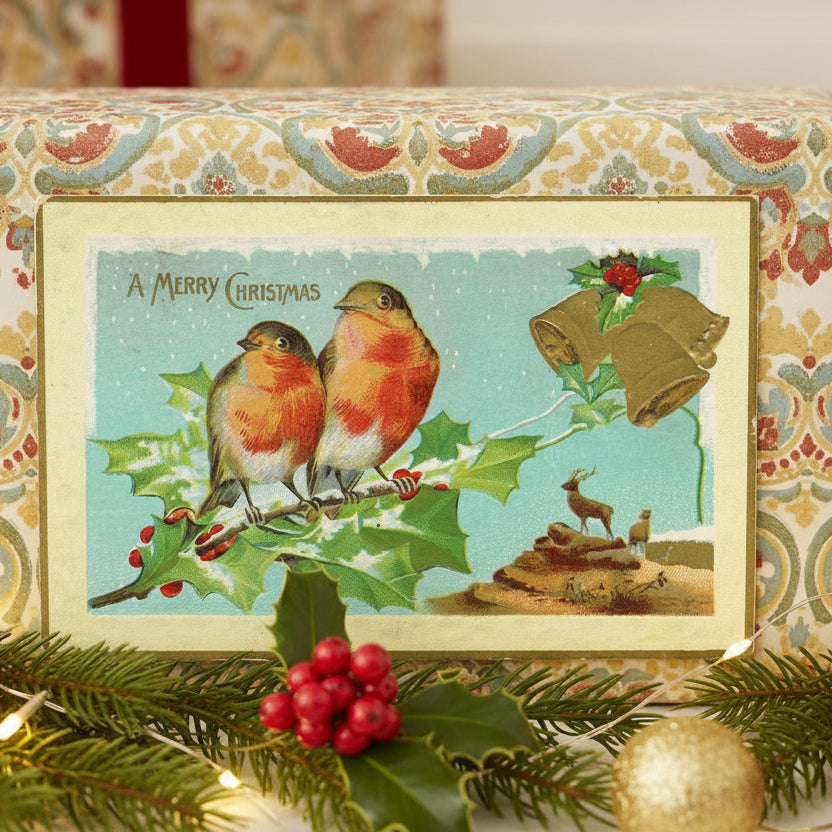 1907 European Robin - Christmas Songbirds Vintage Postcard, 