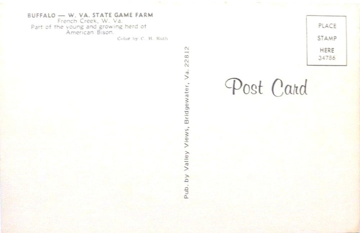 Postcard.
