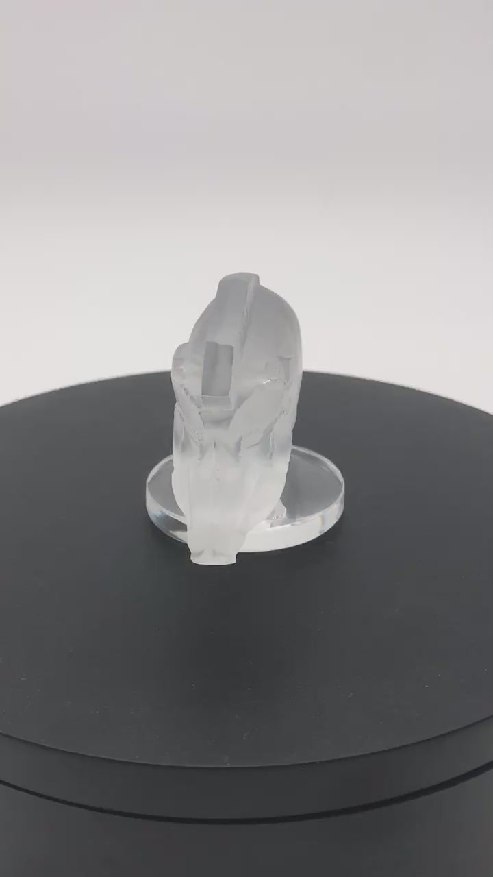 Sanglier Bouchon de Radiateur: Wild Boar Car Mascot by Lalique on  a rotating platform.