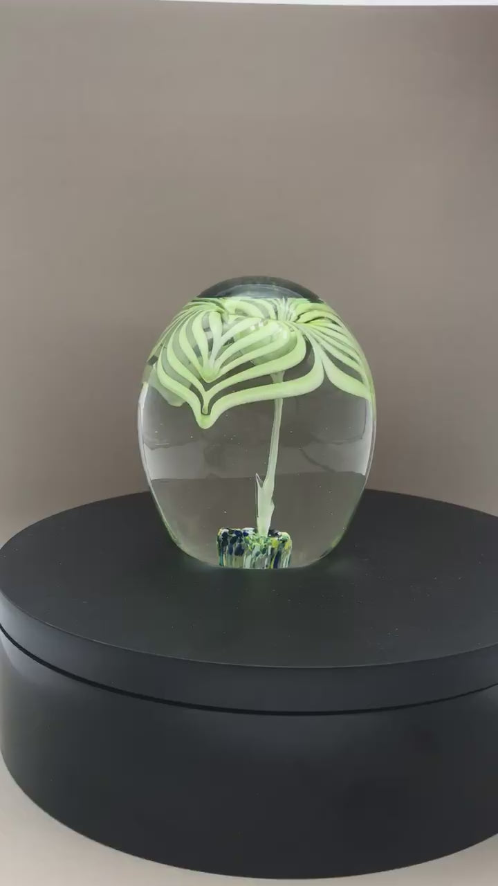 1960s Cristaleria Querandi Paperweight video of paperweight rotating on a motorized, spinning display.