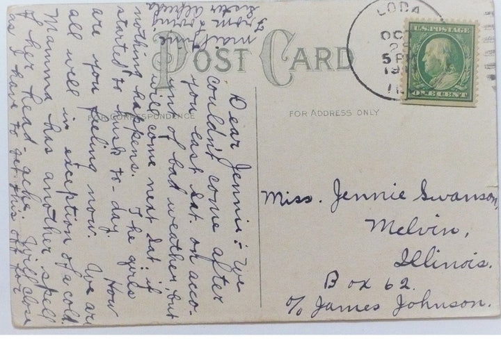 1910 Tall Tale Turtle Doves Vintage Romance Postcard