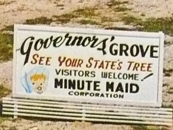 1965 Governors' Orange Grove Clermont Florida Vintage Postcard
